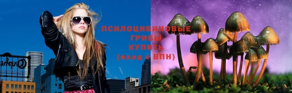 героин Богданович