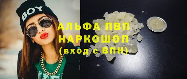 ешки Белокуриха