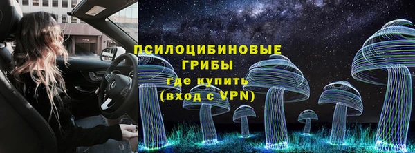 героин Богданович